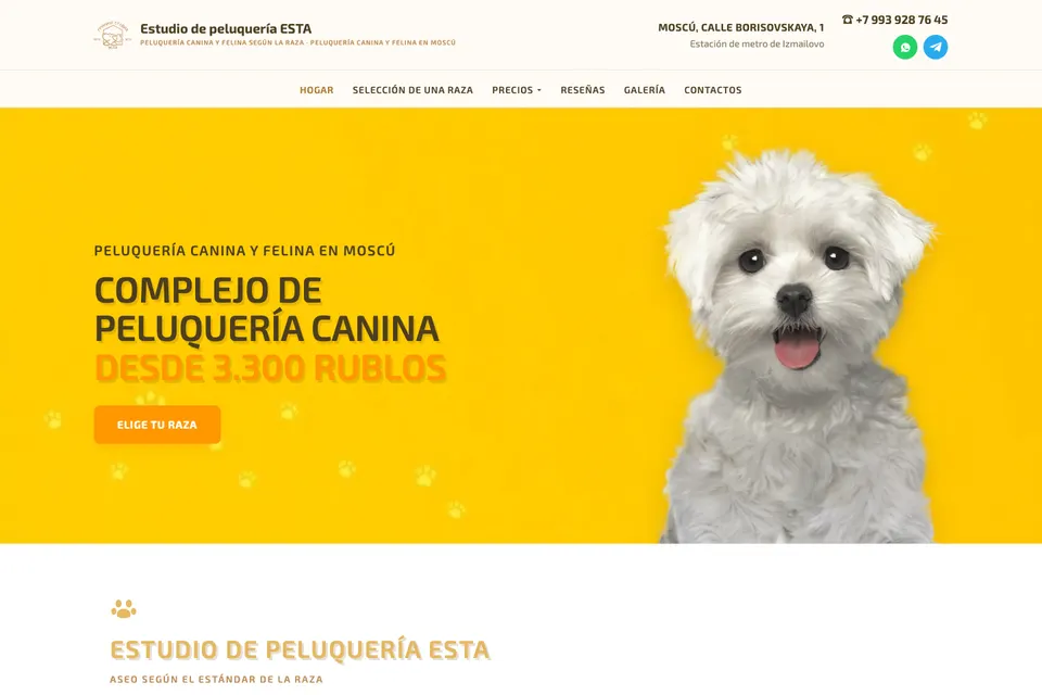 Grooming ESTA: página de inicio, versión para ordenador